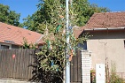 Obrzek z galerie hody 2011