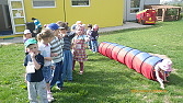 Obrzek z galerie ms orisek carodejnice 2013