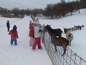 Obrzek z galerie ms orisek oresinska zoo 2013