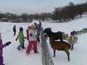 Obrzek z galerie ms orisek oresinska zoo 2013