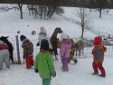 Obrzek z galerie ms orisek oresinska zoo 2013