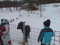 Obrzek z galerie ms orisek oresinska zoo 2013